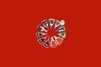 文山州富宁县回收红酒